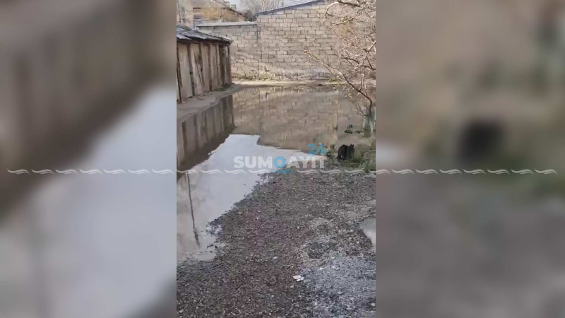 Tağıyev qəsəbəsi: bir küçənin tükənməyən kanalizasiya problemi