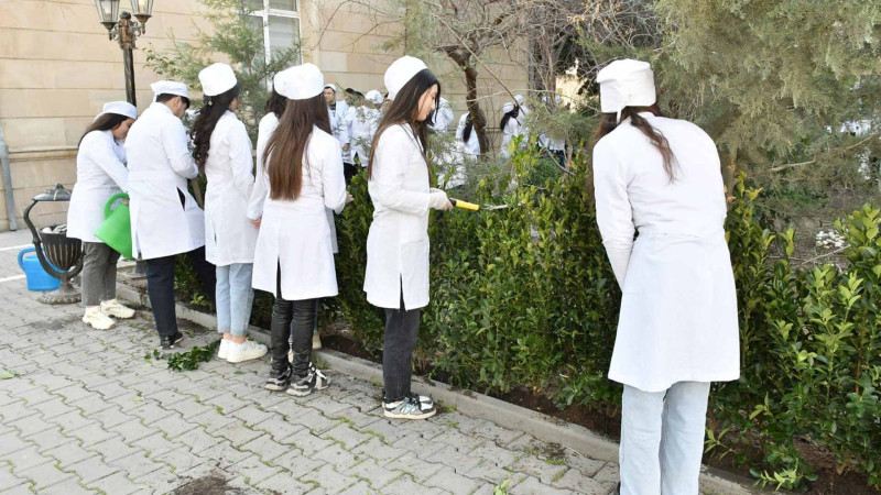 Sumqayıt Tibb Kollecinin həyəti yaşıllaşdırılır