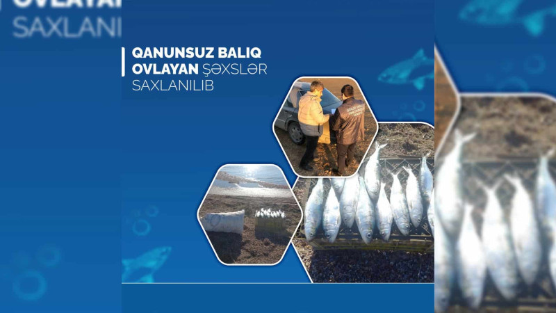 Qanunsuz balıq ovlayan Sumqayıt sakini cərimələnib