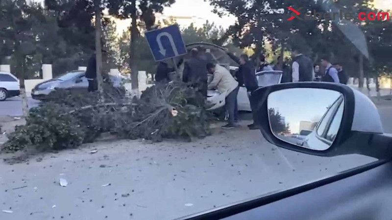 Niyazi küçəsində maşın ağaclara çarpılıb