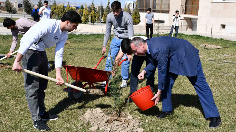 Sumqayıt Kimya Sənaye Parkında həmişəyaşıl ağaclar əkilib