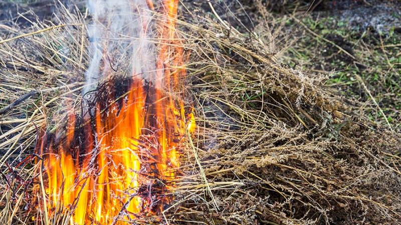 Bakı–Sumqayıt yolu: quru otluq sahədə yanğın olub