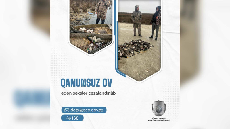 Qanunsuz ov edən şəxs cəzalandırılıb