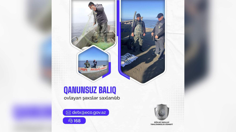 Qanunsuz balıq ovlayan qəsəbə sakini saxlanılıb