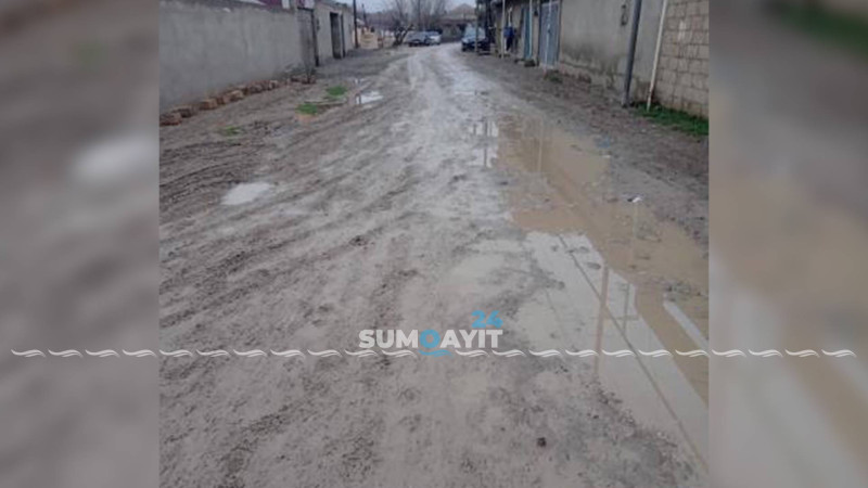 Kotecin bu ərazisi baxımsız vəziyyətdədir