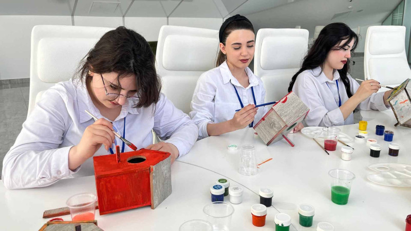Sumqayıtda gənclər quş yuvaları düzəldiblər