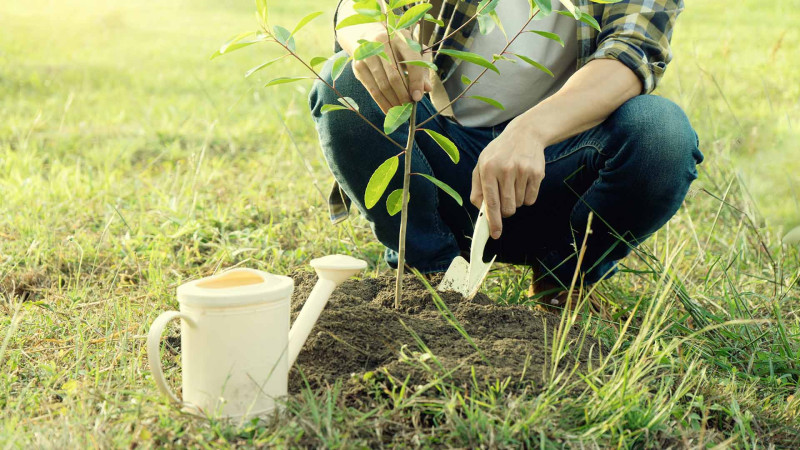 Sarayda tullantı əvəzinə ting paylanacaq