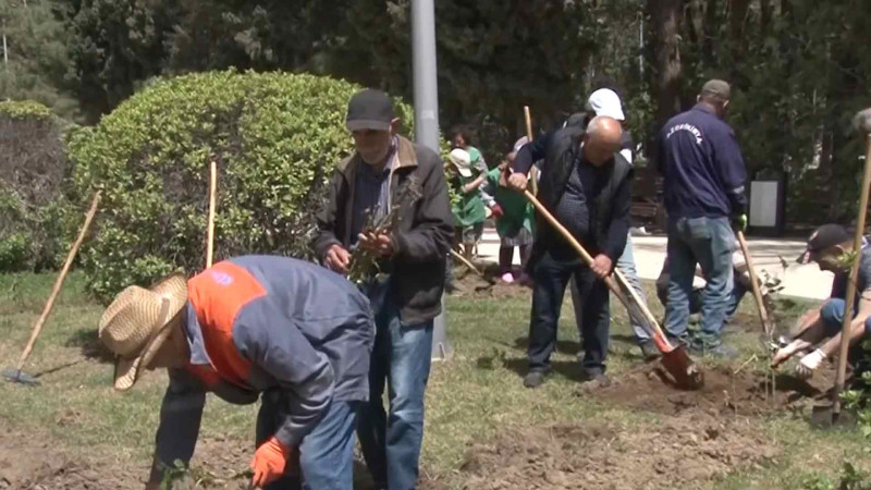Nəsimi parkında abadlıq işləri aparılır
