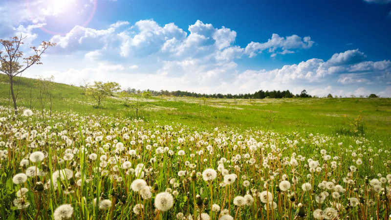 Sabah temperatur 24 dərəcəyə yüksələcək