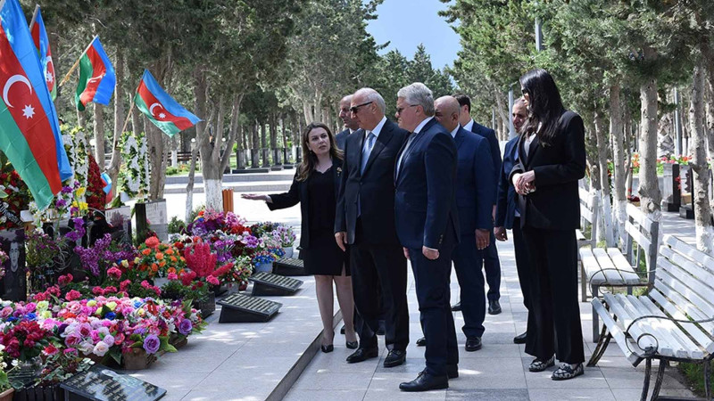 Zakir Fərəcov avstriyalı merə şəhəri göstərib