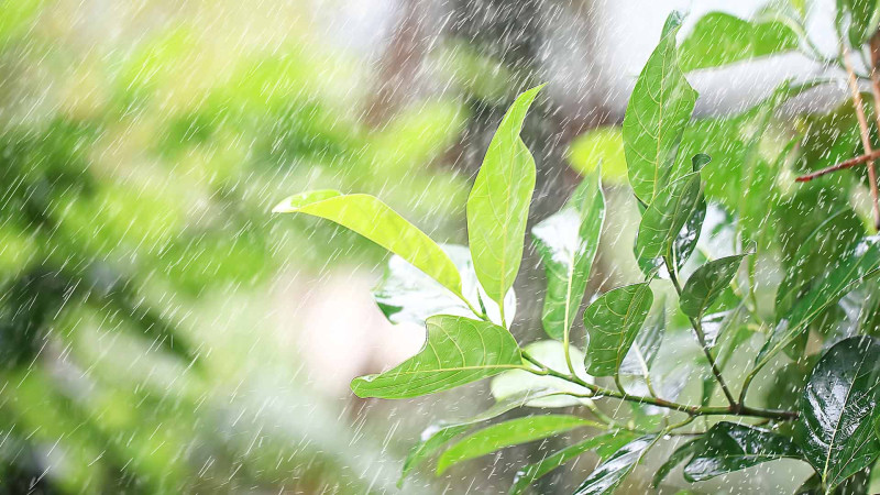 Hava proqnozu: sabah yağış ehtimalı var