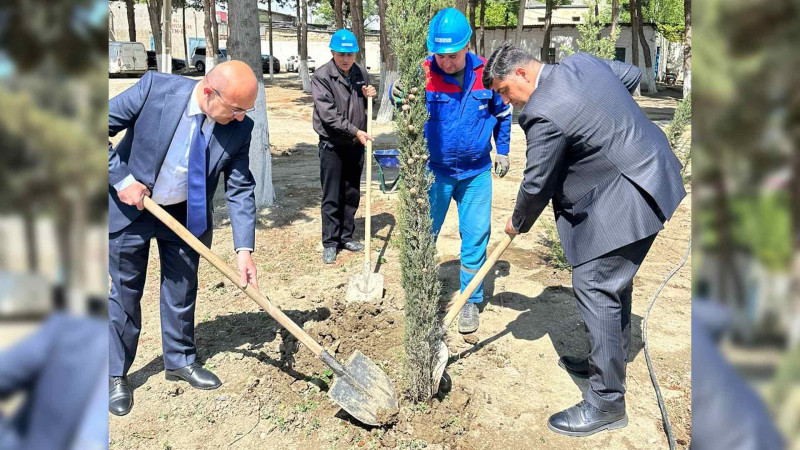 Nasos stansiyası ərazisində 101 ədəd ağac əkilib
