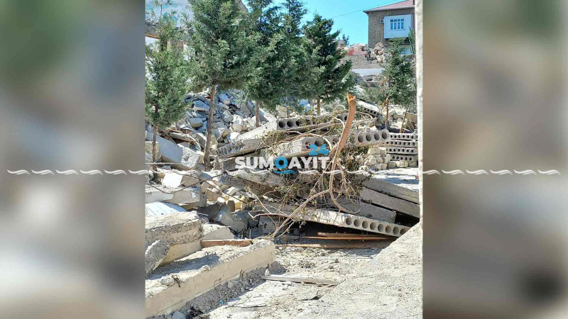 İcra Hakimiyyəti: “Qurumlara ağaclarla bağlı tapşırıq verilib”
