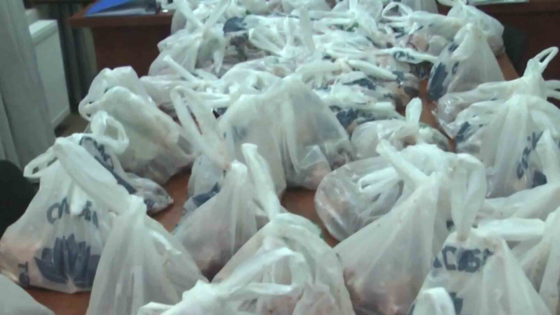 Saray bələdiyyəsi 250 ailəyə qurban payı verib