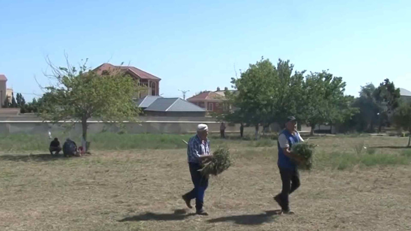 Şəhər ərazisində iməcilik və abadlıq işləri görülüb