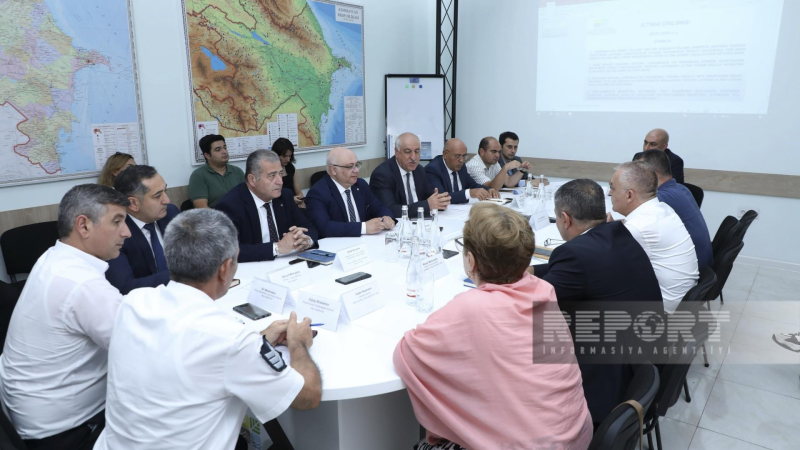 Qurumuş çoxillik ağacların götürülmə faktı gündəmə gətirilib
