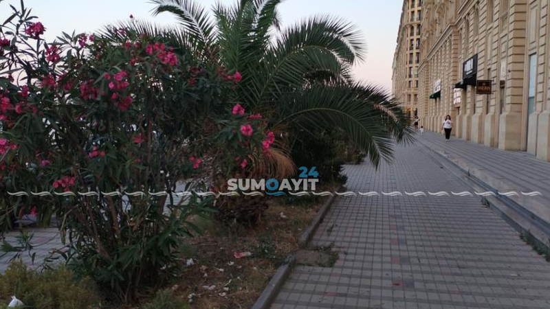 Bulvardakı komplekslərdə təmizliyə riayət olunmur