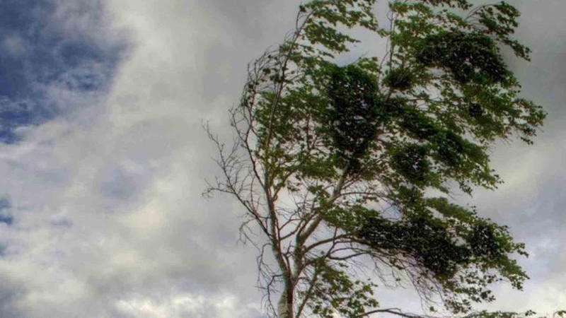 Sumqayıt və Novxanı çimərliklərinin hava proqnozu