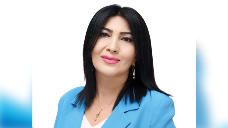 Sumqayıtdan adı ilk dəfə deputat siyahısına düşmüş tənqidçi Elnarə Akimova - DOSYE