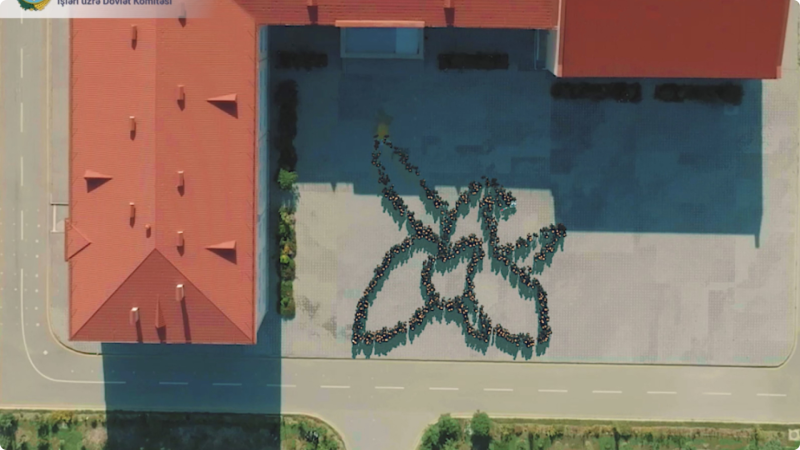 Sumqayıtda anım günü ilə bağlı fləşmob keçirilib