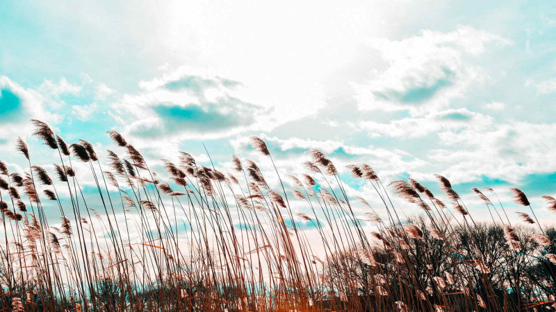 Oktyabrın ilk gününə gözlənilən hava proqnozu