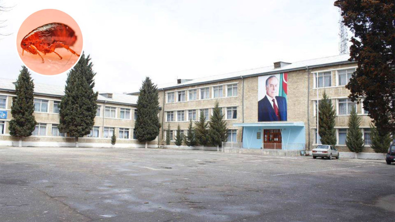 Sumqayıtda məktəbi bit-birə basıb - İDDİA - YENİLƏNİB