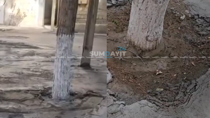 Sumqayıt24 yazdı, İcra hakimiyyəti hərəkətə keçdi