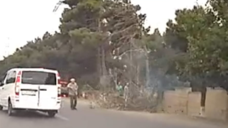 Ceyranbatanda ağac kəsənlər maşınlara təhlükə yaratdı