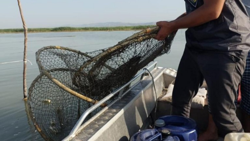 Qanunsuz ov edən şəhər sakini cəzalandırıldı
