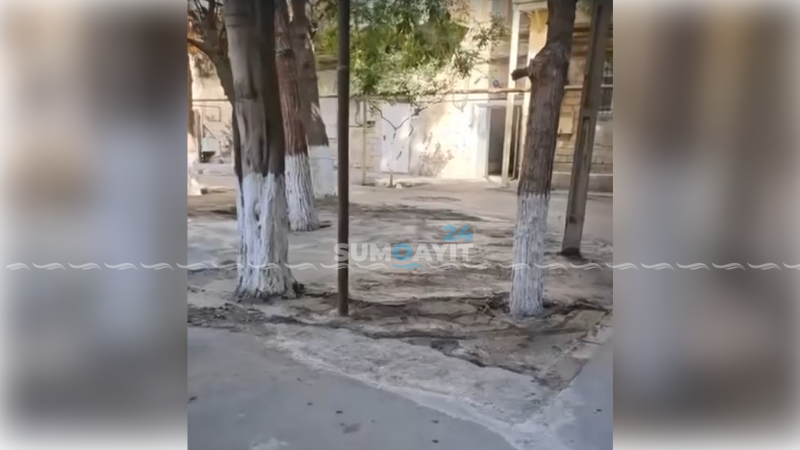 Sumqayıtda təbiətə ziyan vurulur