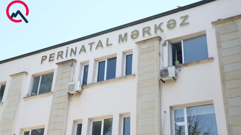 “Bizim kimi uşaq həsrəti ilə yaşayan ailələrə sevinc bəxş edir...”  - FOTOLAR