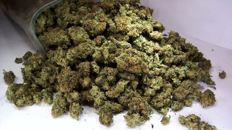 Keçmiş məhkumda marixuana aşkarlanıb