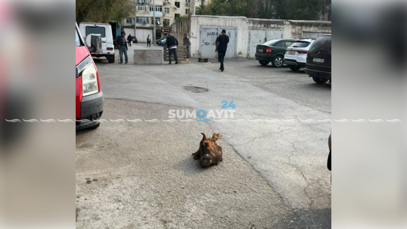 34-cü məhəllədən “mənzərə”