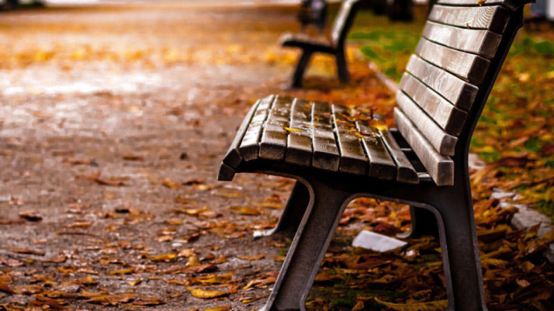 Sabahın hava proqnozu