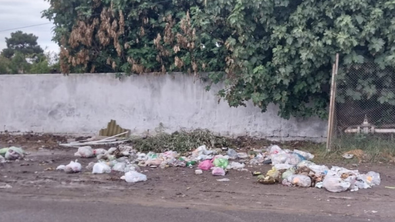 Ətrafı zibilləyənlərə qarşı cəzalar sərtləşdirildi