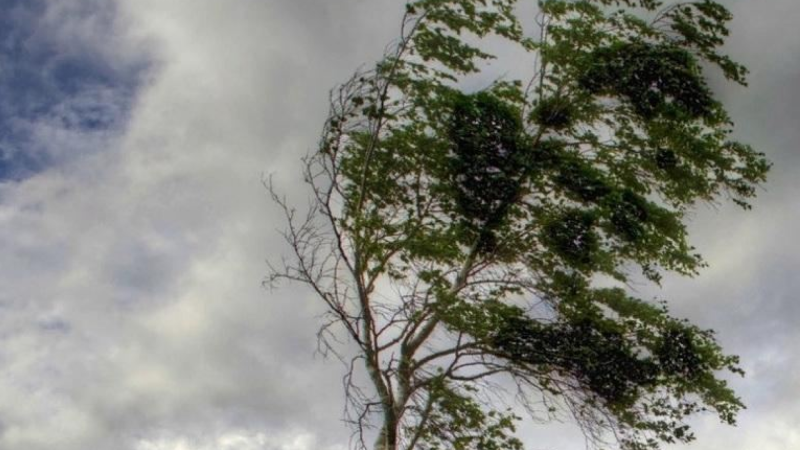 Sabah hava necə olacaq? - PROQNOZ