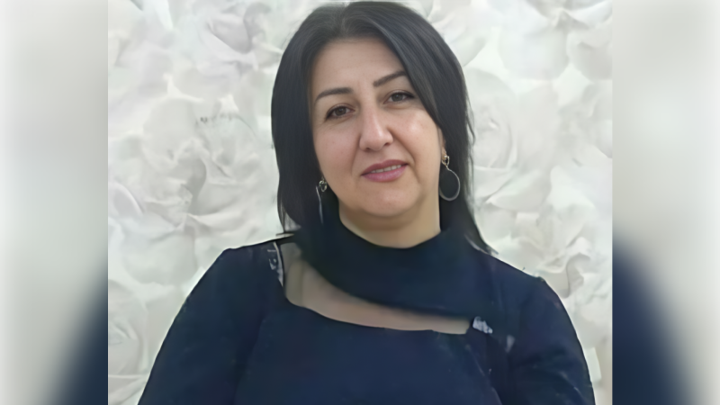 Əməkdar artist Elmira Kərimovanın doğum günüdür