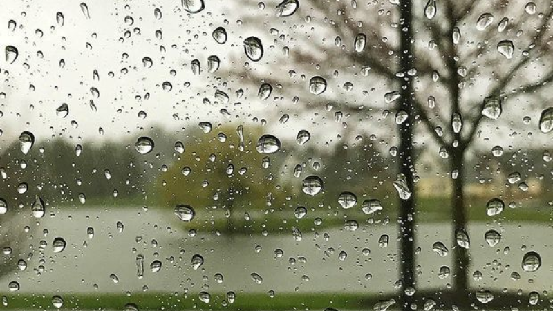 İstirahət günü hava yağışlı olacaq