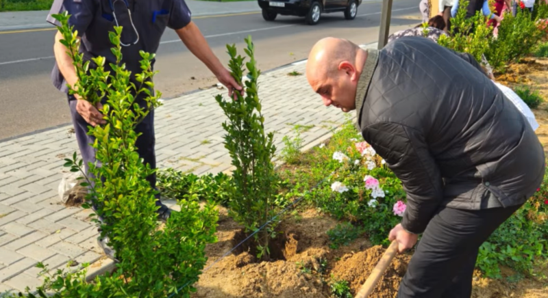 Sumqayıt xəstəxanasının ərazisi yaşıllaşdırılıb