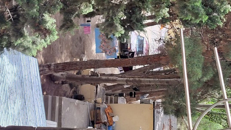 Qazilərin üz tutduğu “Bərpa” xəstəxanası…