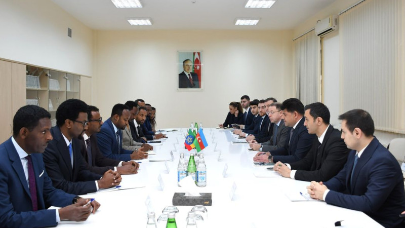 Efiopiyalı qonaqlar Sumqayıtda