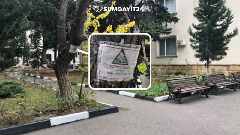 Sumqayıt xəstəxanasından unikal addım: Başınıza düşə bilər