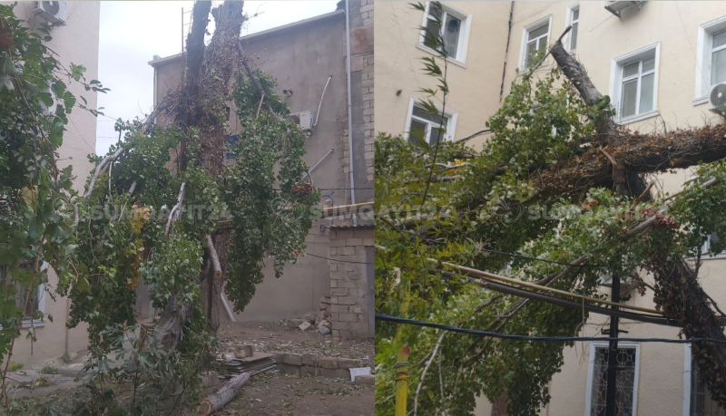 Sumqayıtda küləyin fəsadları aradan qaldırılmır