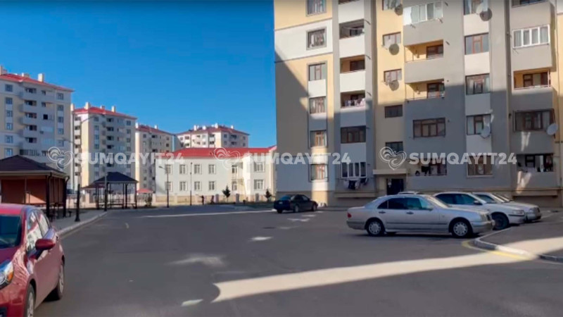 Su, işıq, nəqliyyat, sahibsiz itlər - Şəfəq sakinlərinin ŞİKAYƏTİ