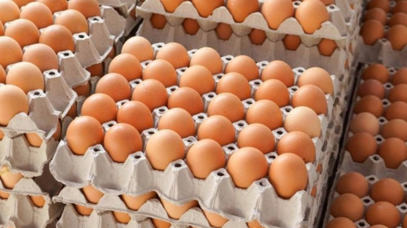 Yumurtanın qiyməti bahalaşıb
