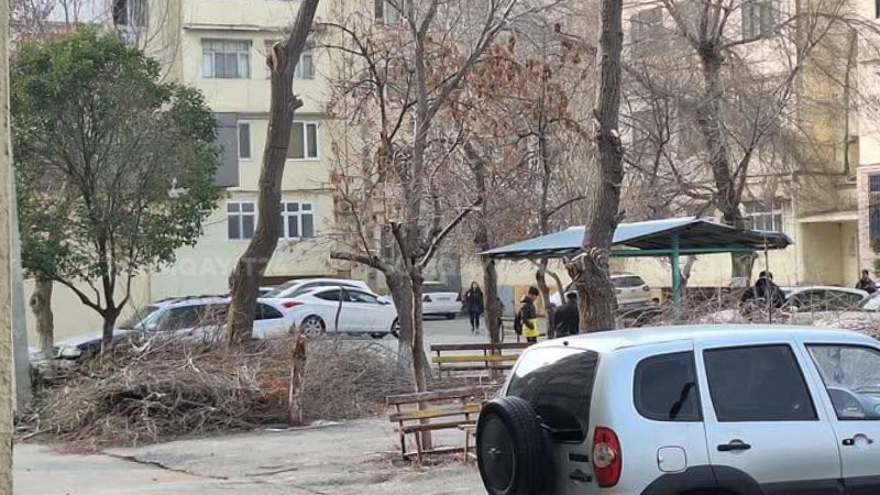 Yaşıllaşdırma İdarəsinin biganəliyi - FOTO