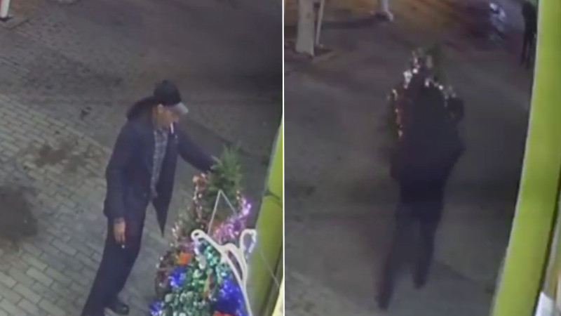 Sumqayıtda “yolka” oğrusu peydə olub - VİDEO