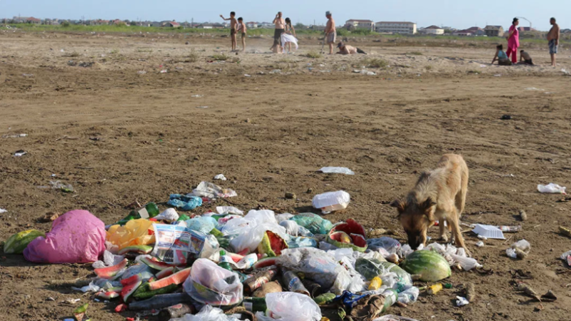 Sumqayıt sahili bu qiymətə təmizlənəcək