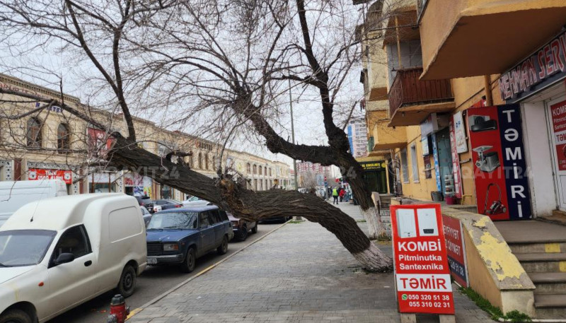 Minlərlə sumqayıtlının keçdiyi TƏHLÜKƏLİ YOL