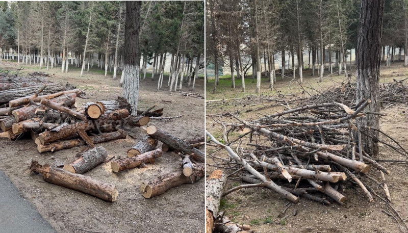 “Nəsimi” parkı məhv edilir - VİDEO